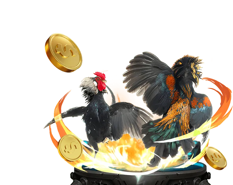 Thông tin về cá cược có trách nhiệm tại fly88 app